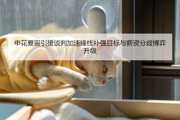 申花夏窗引援谈判加速锋线补强目标与薪资分歧博弈升级